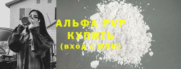 прущие грибы Приозерск