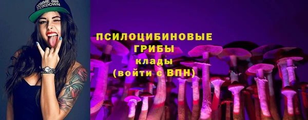 мдпв Лиски