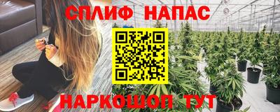 стаф Абакан