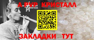 стаф Абакан